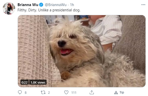 dog.jpg