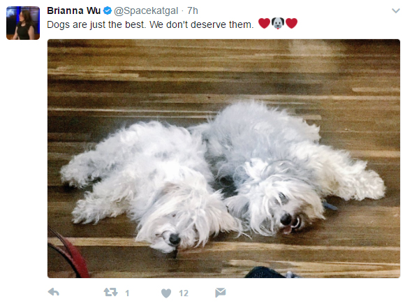 dog.jpg