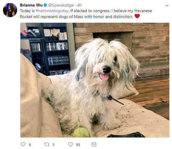 dog.jpg