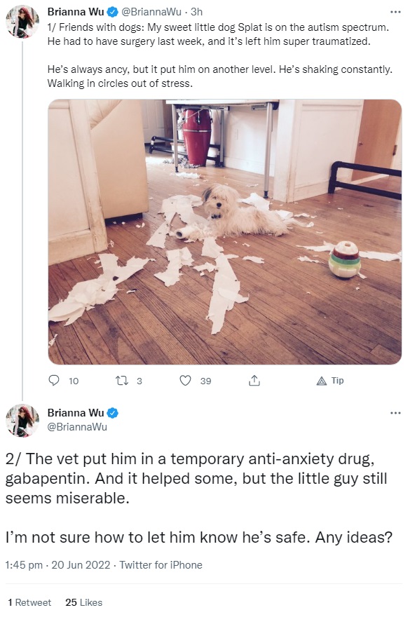 dog.jpg