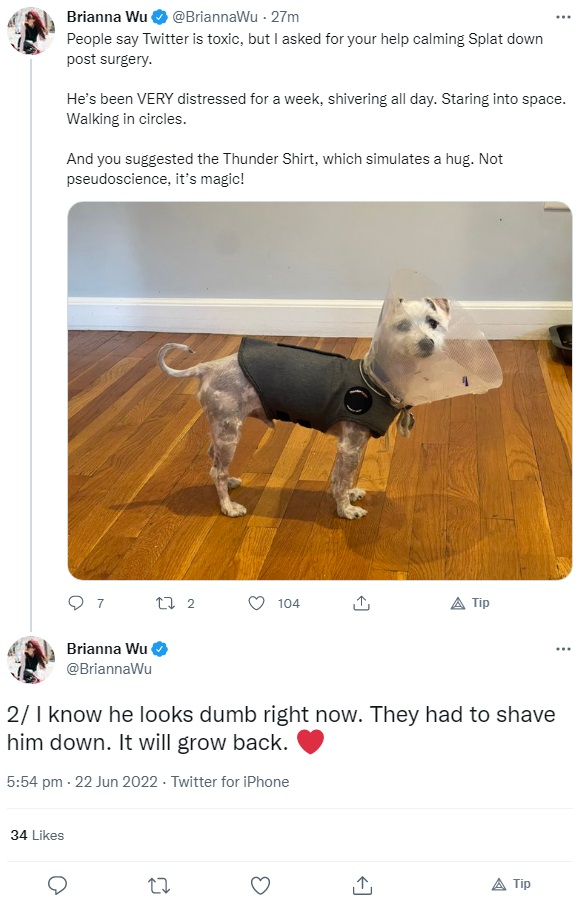 dog.jpg