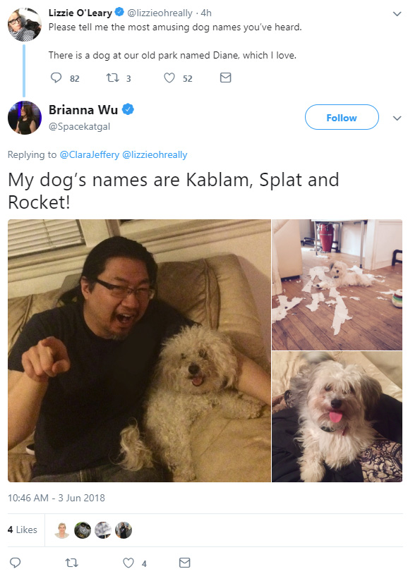 dog.jpg