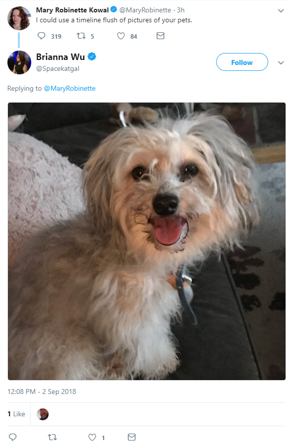 dog.jpg
