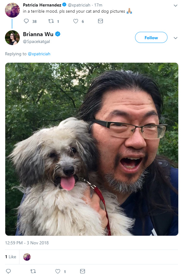 dog.jpg