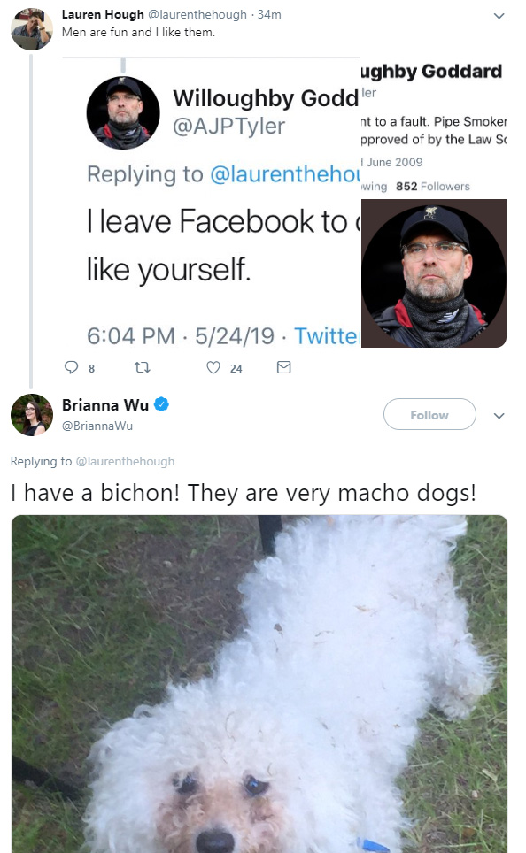 dog.jpg