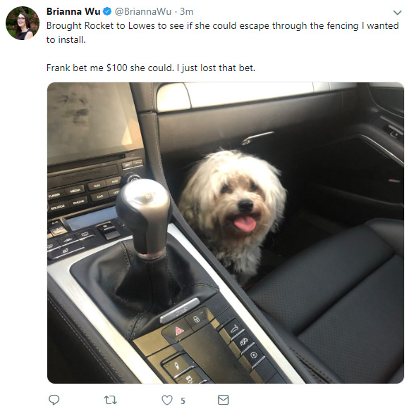 dog.jpg