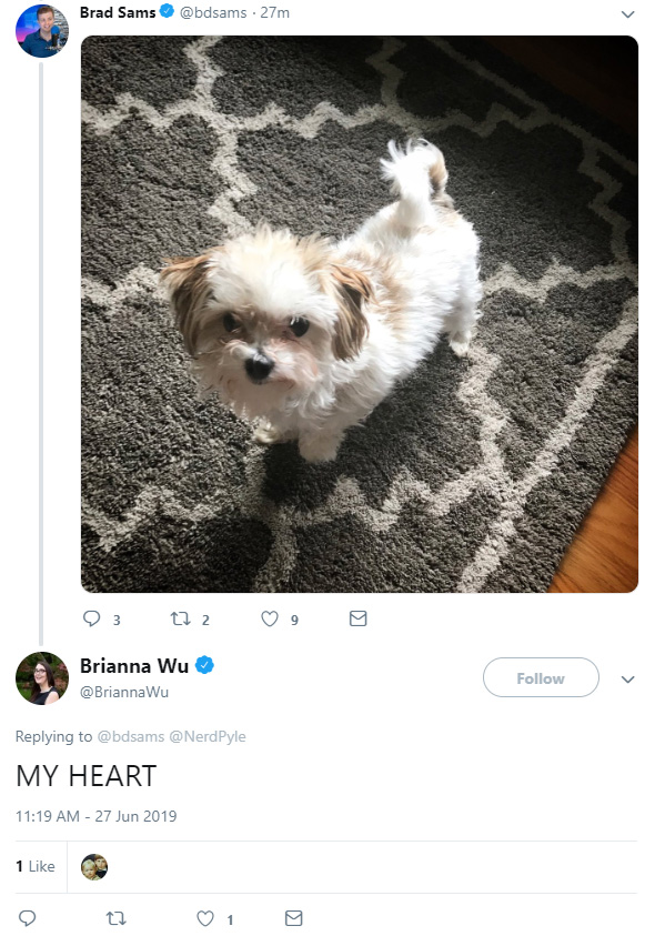 dog.jpg