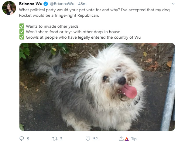 dog.jpg