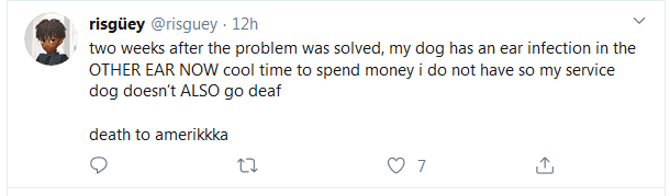 dog.png