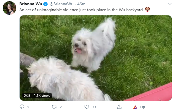 dog.png