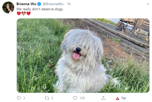 dog.png