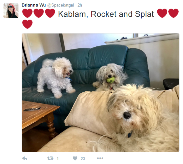 dog.png