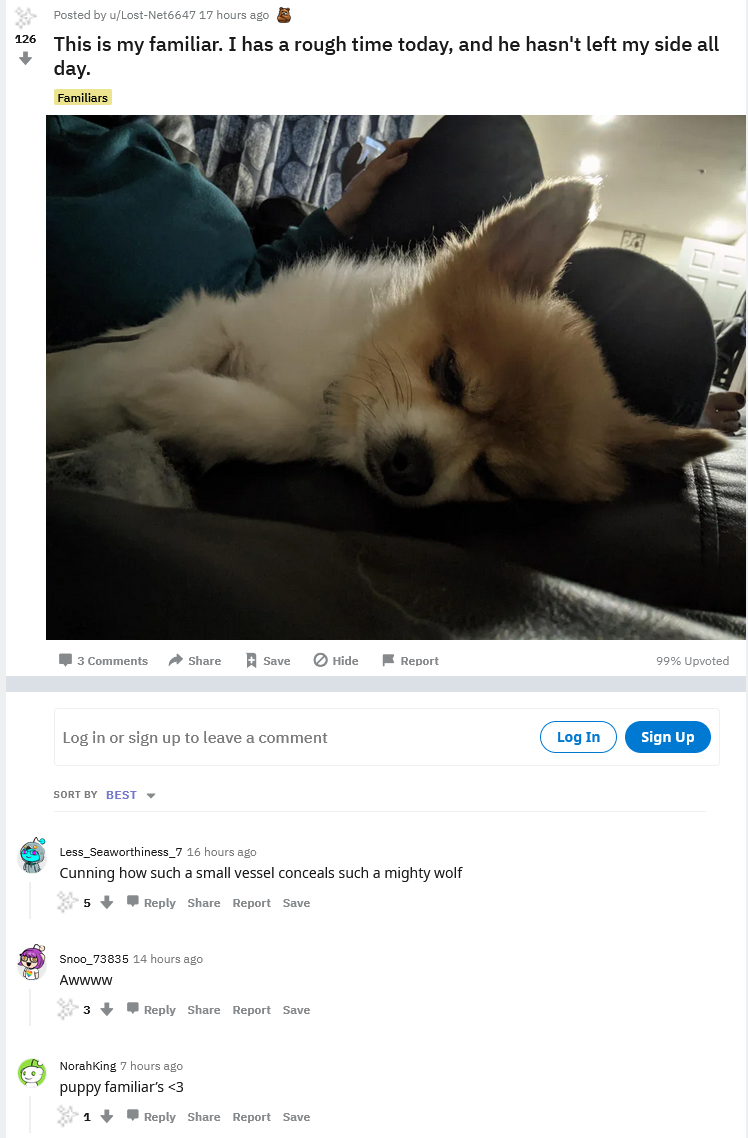 dog.PNG