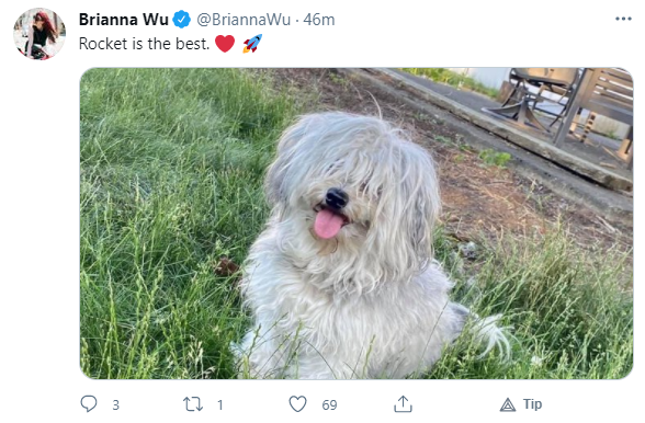 dog.png