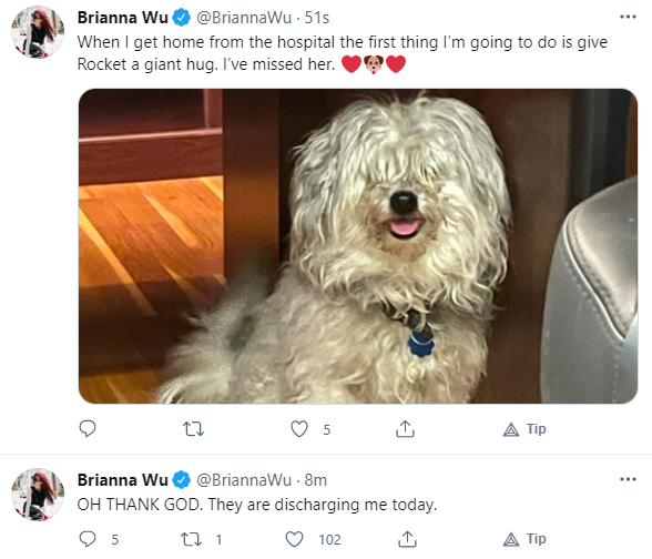 dog.png