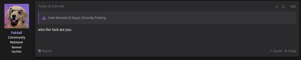 dog.PNG