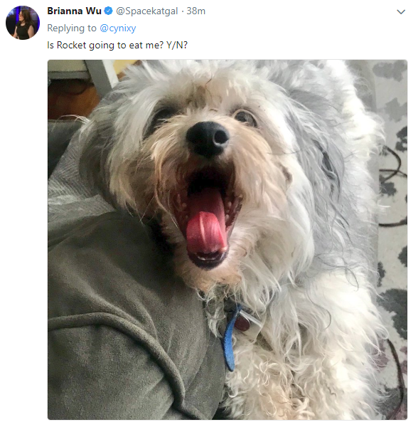 dog.png