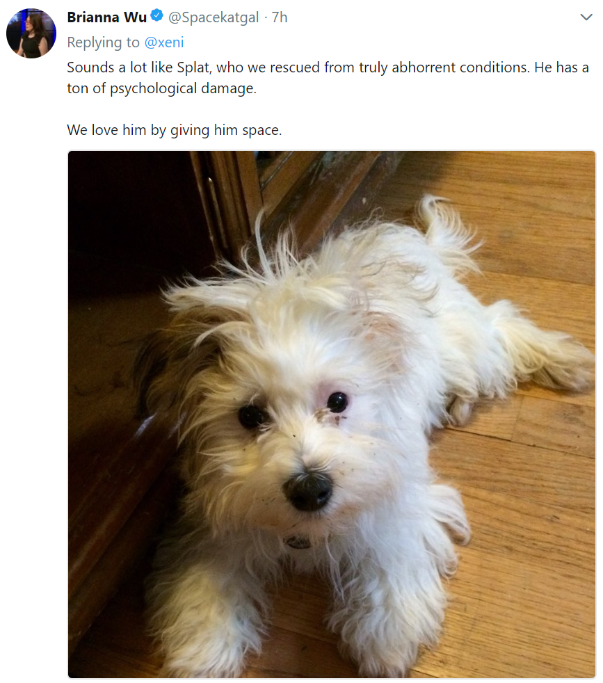 dog.PNG