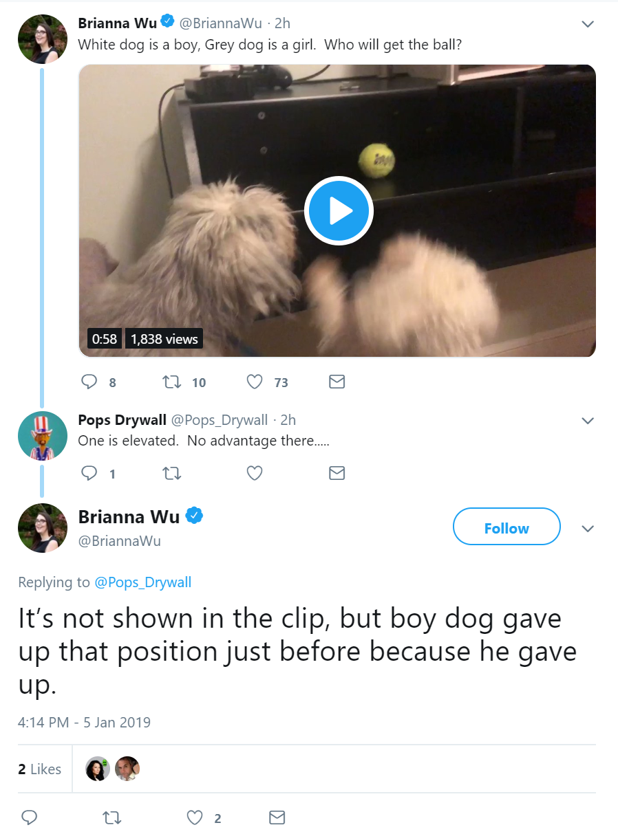 dog.PNG