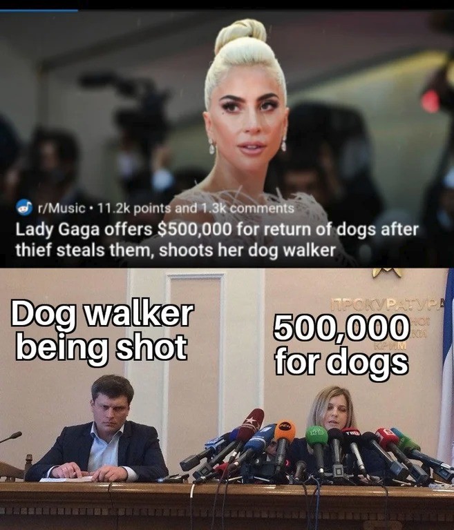 dog walker.jpg
