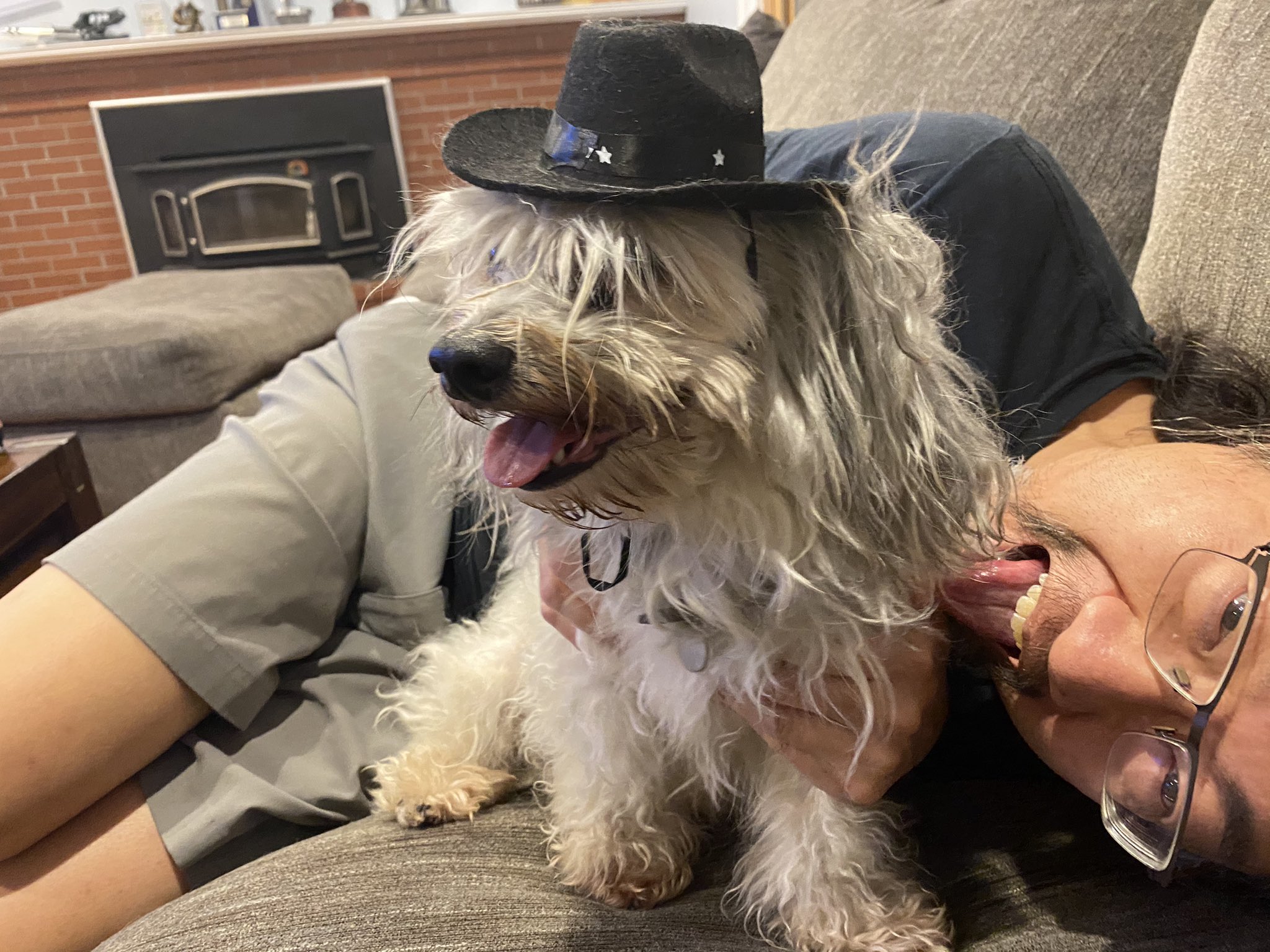 dog2.jpg
