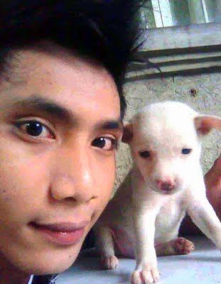DOG2.jpg