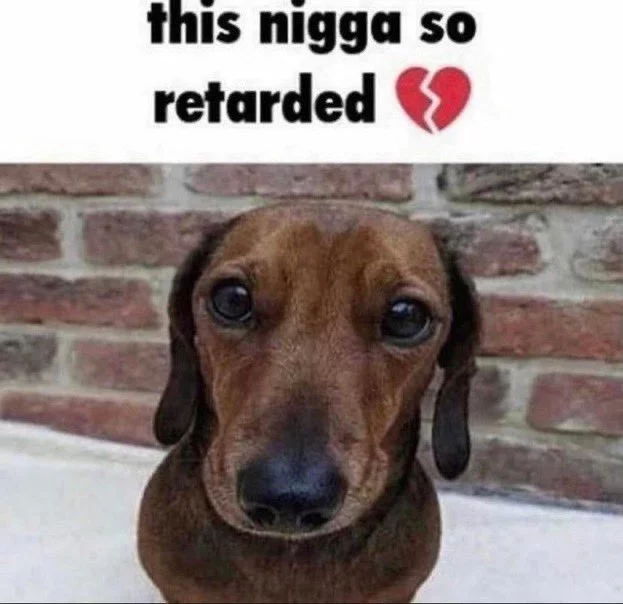 dog_ableist.webp