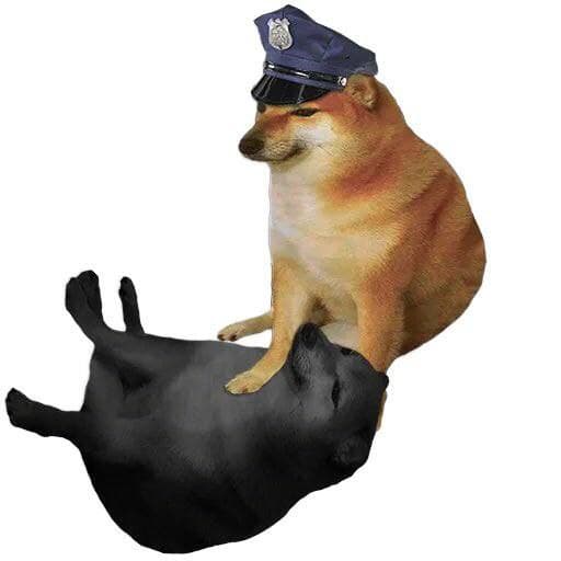 doge-floyd.jpg