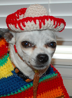 dogg.JPG