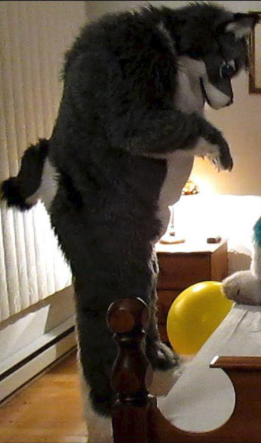 dogg.PNG