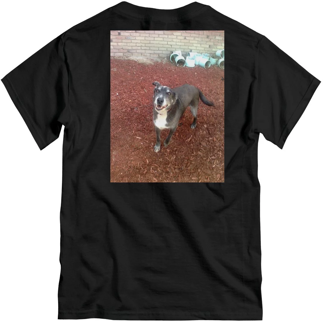 doggo 2.webp