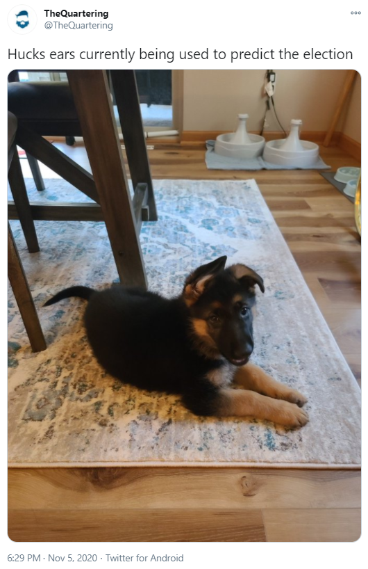 Doggo.png