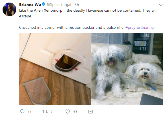 doggo.png