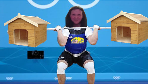 Doghouse.png