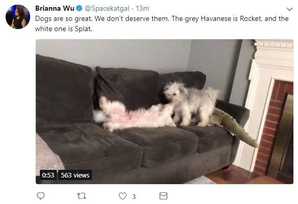 dogs.jpg