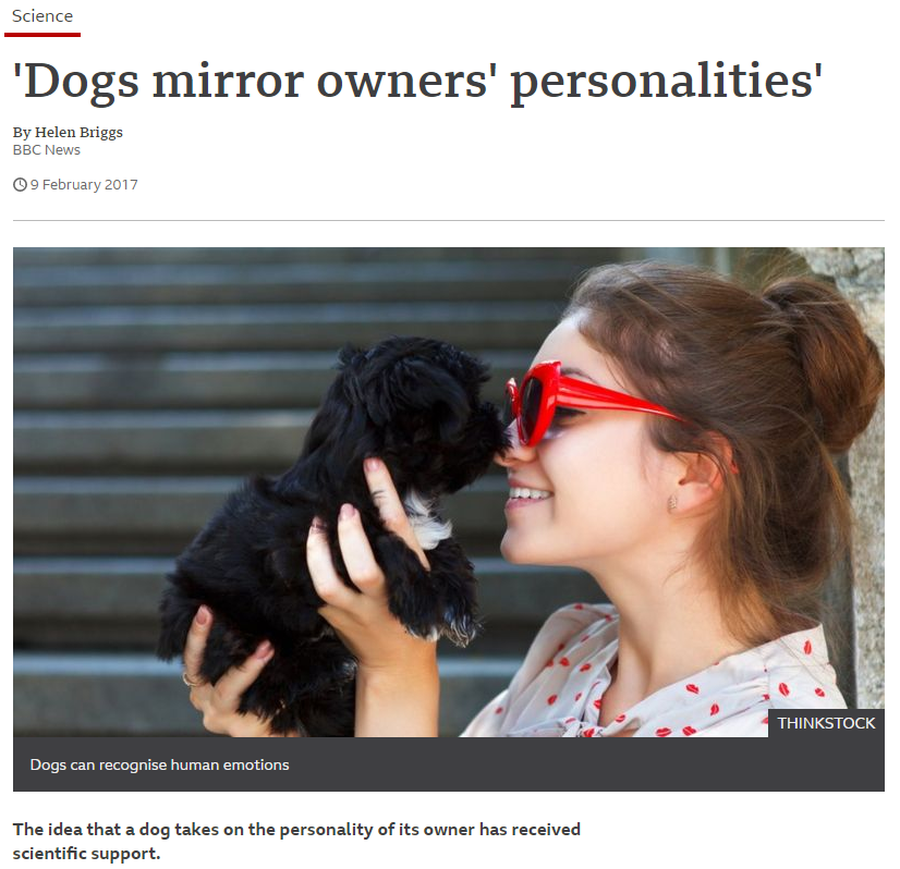 dogs.PNG