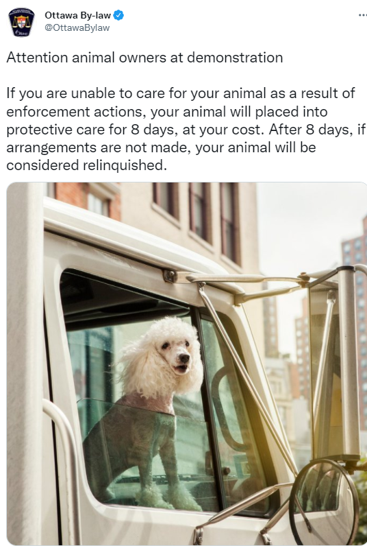 Dogs.png