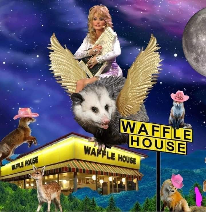 dolly.jpg