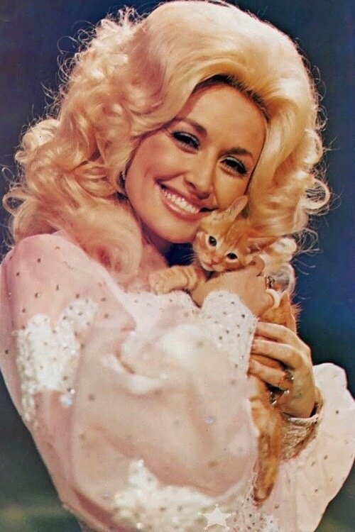 dolly.jpg