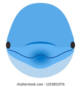 dolphin.jpg