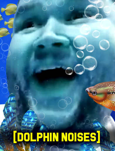 dolphin-noises.jpg