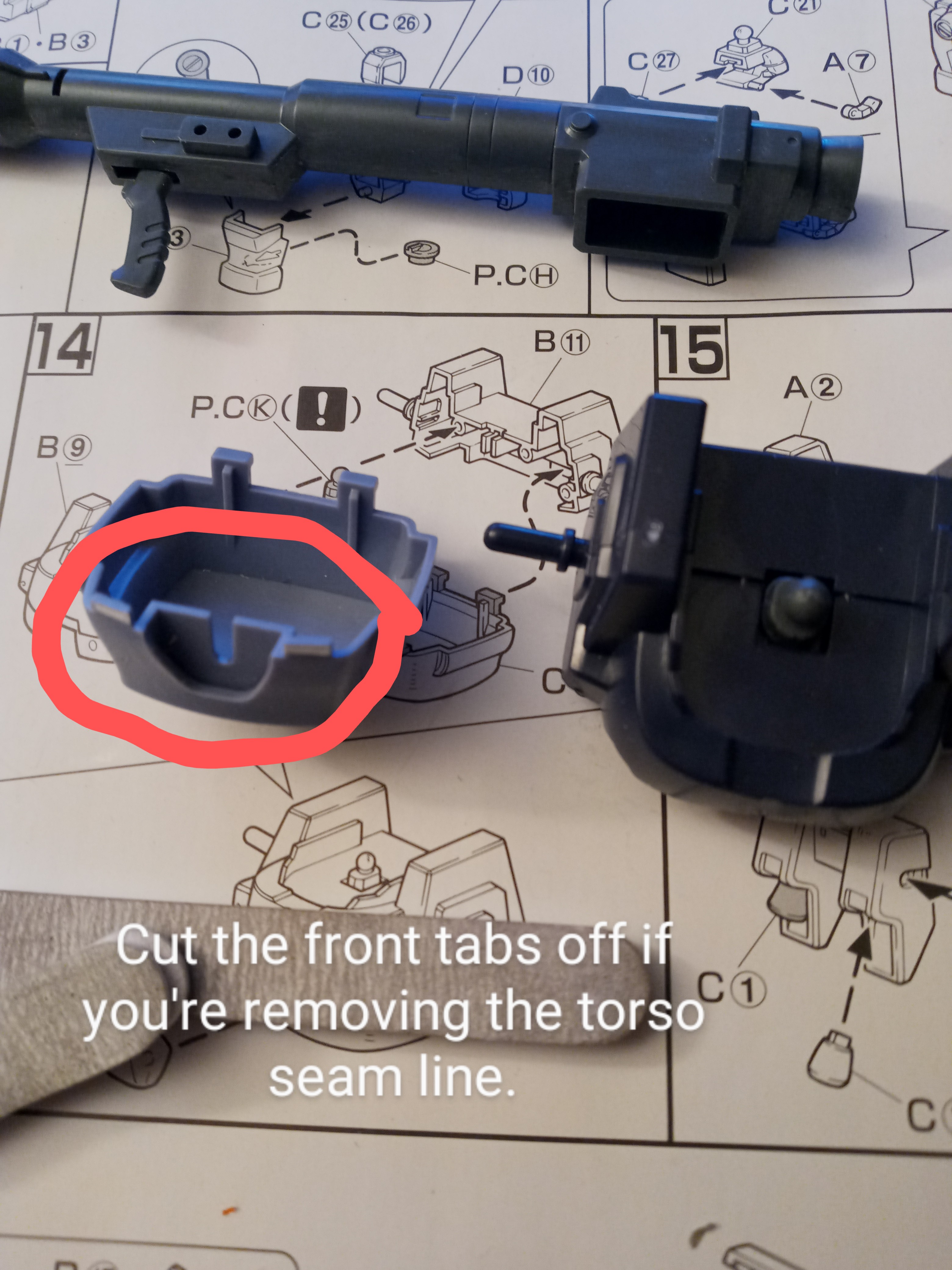 domtropenlowertorso.jpg