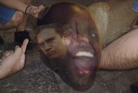 dongsfinalform.png