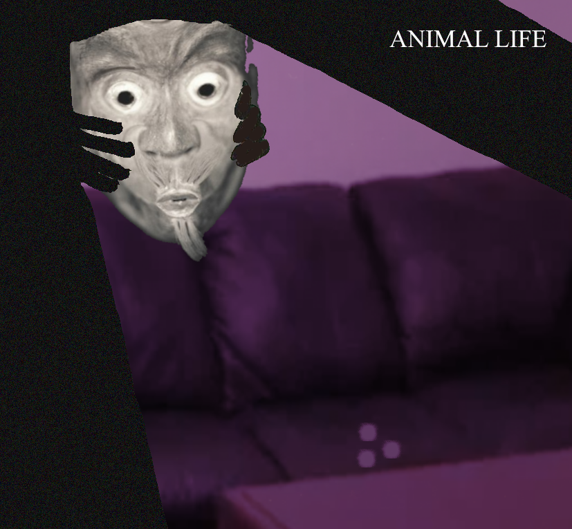 dontasknick.png