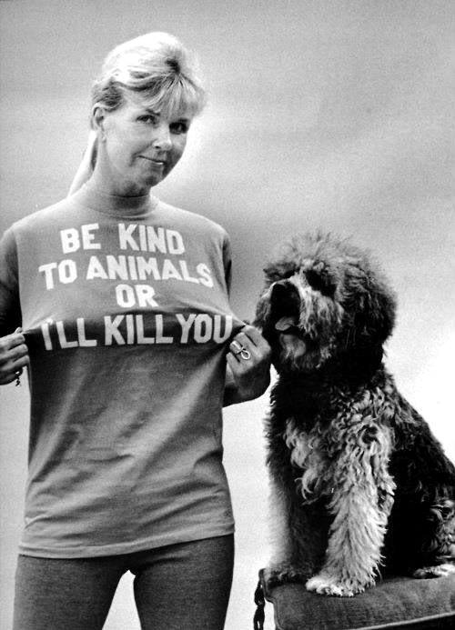 dorisday.jpg