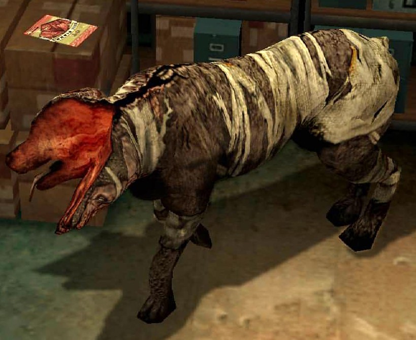 DoubleHead.jpg