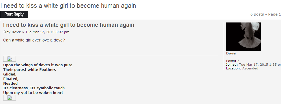 dove.PNG