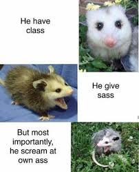 download.jpeg