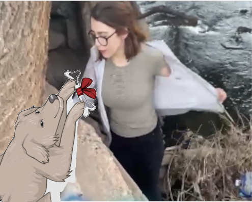 doxing dog.png