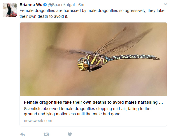 dragonfly.jpg